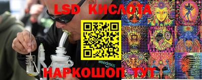 бошки Кандалакша