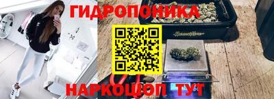 амф Камышлов