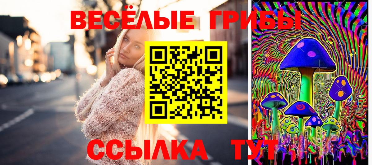 Псилоцибиновые грибы GOLDEN TEACHER  Вход с VPN  наркотики  Красный Сулин 