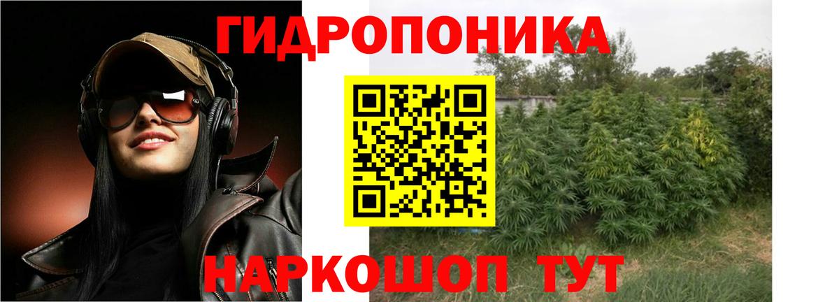 Красный Сулин  Шишки марихуана план  Вход с VPN  Шишки марихуана Bruce Banner  Бошки Шишки THC 21% 